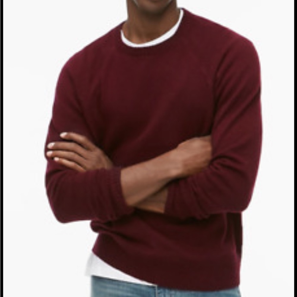 NWT Jcrew Crewneck Lambswool Sweater